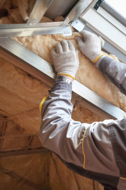 Best Eco-Friendly Insulation in Mason City, IA