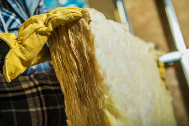 Best Specialized Insulation Services in Mason City, IA