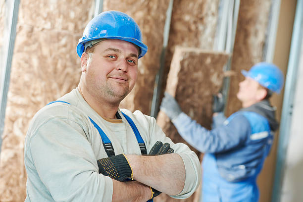 Best Geographic-Specific Insulation Services in Mason City, IA